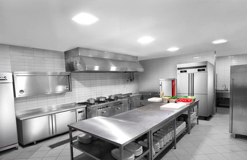 海派廚房設備廠 打造高效優質的食堂廚房設備與廚具衛具解決方案